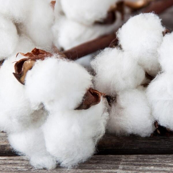 Impianti di rete aziendale Assistenza Hardware e Software Sicurezza informatica Video Sorveglianza Soluzioni Audio e Video Telefonia mobile e fissa Controllo accessi Web Hosting e Email