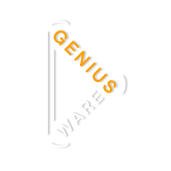 Impianti di rete aziendale Assistenza Hardware e Software Sicurezza informatica Video Sorveglianza Soluzioni Audio e Video Telefonia mobile e fissa Controllo accessi Web Hosting e Email